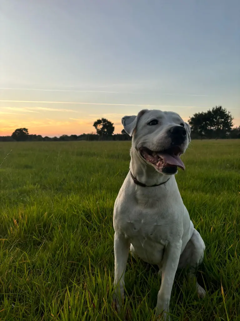 Andachtsbild von Stefan Eden