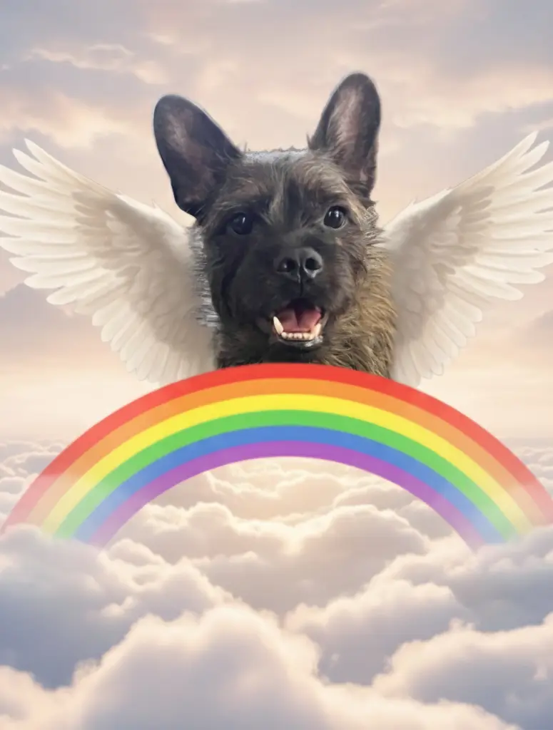 Andachtsbild von Katharina Hellenbrand