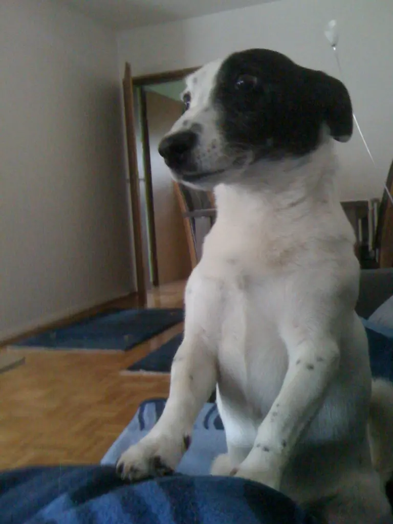 Image from Jack