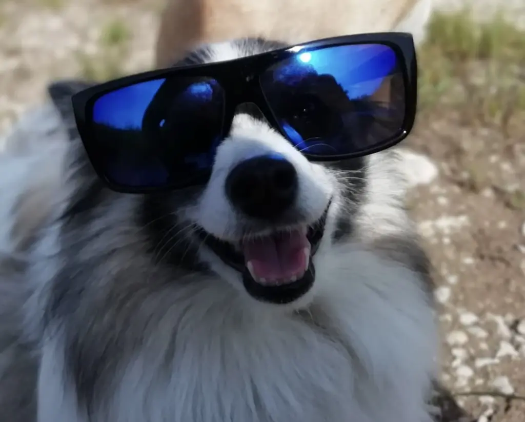 Andachtsbild von Vanessa Mayer