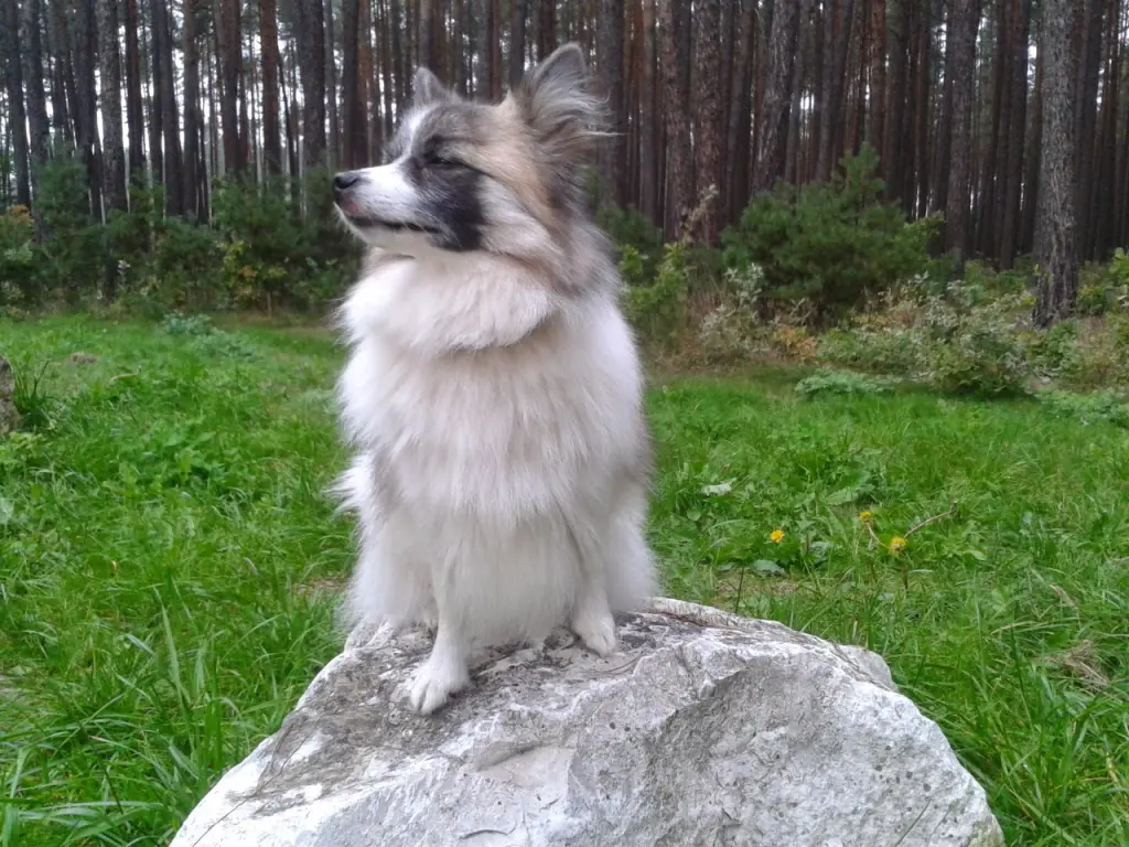 Andachtsbild von Michael Hoffmann