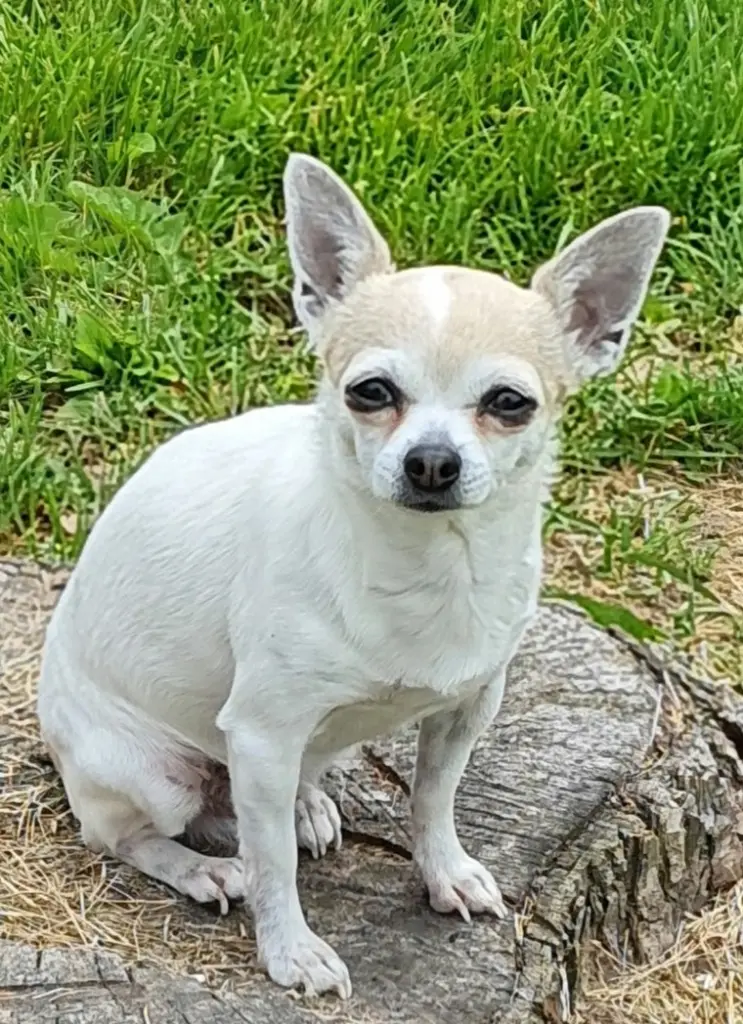 Image from Baby