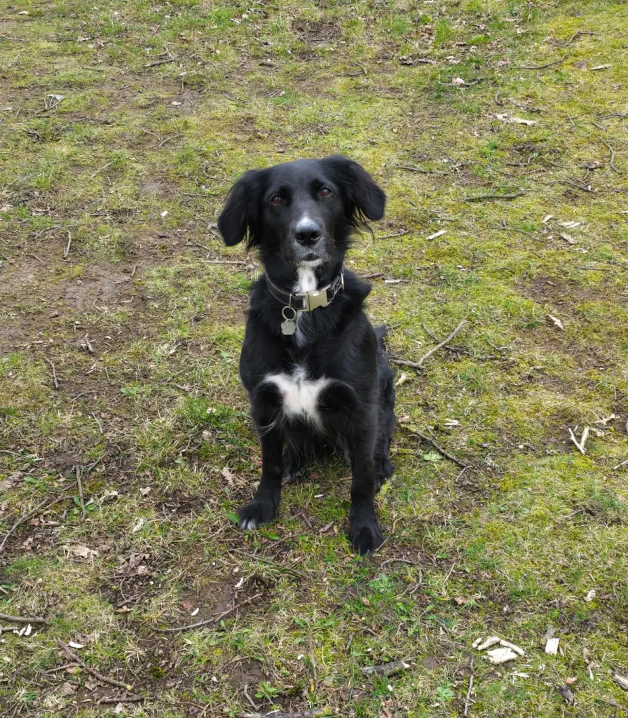 Andachtsbild von Frank Stauder