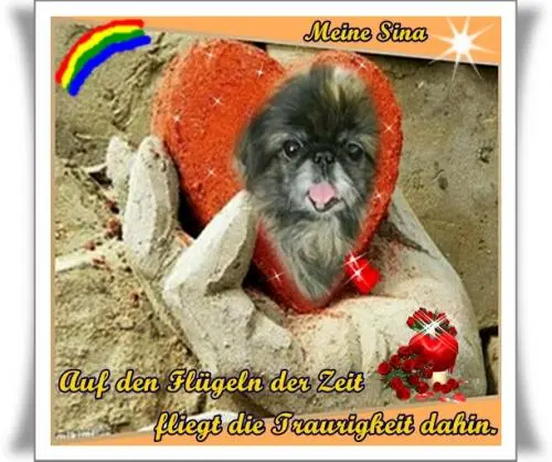 Image from mein Sinchen, die Prinzessin meines Herzens