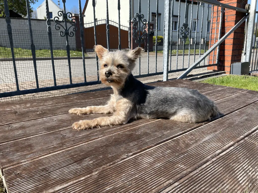 Die Sonne genießen 2022