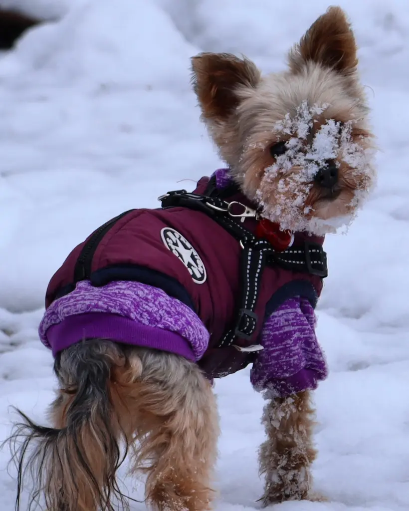 Anfang Dezember 2023