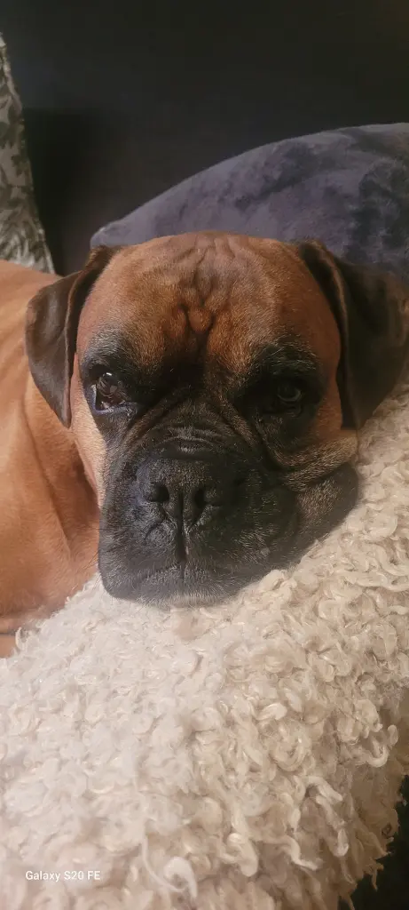 Andachtsbild von Jeane Kunze