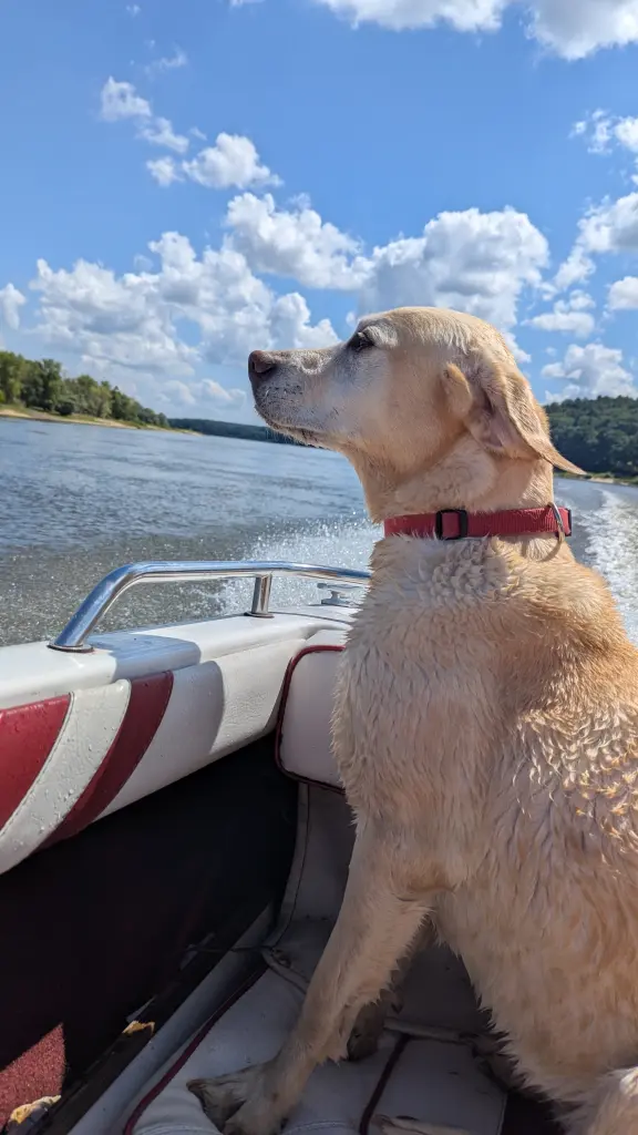 Im Sommer sind wir noch viel Boot gefahren