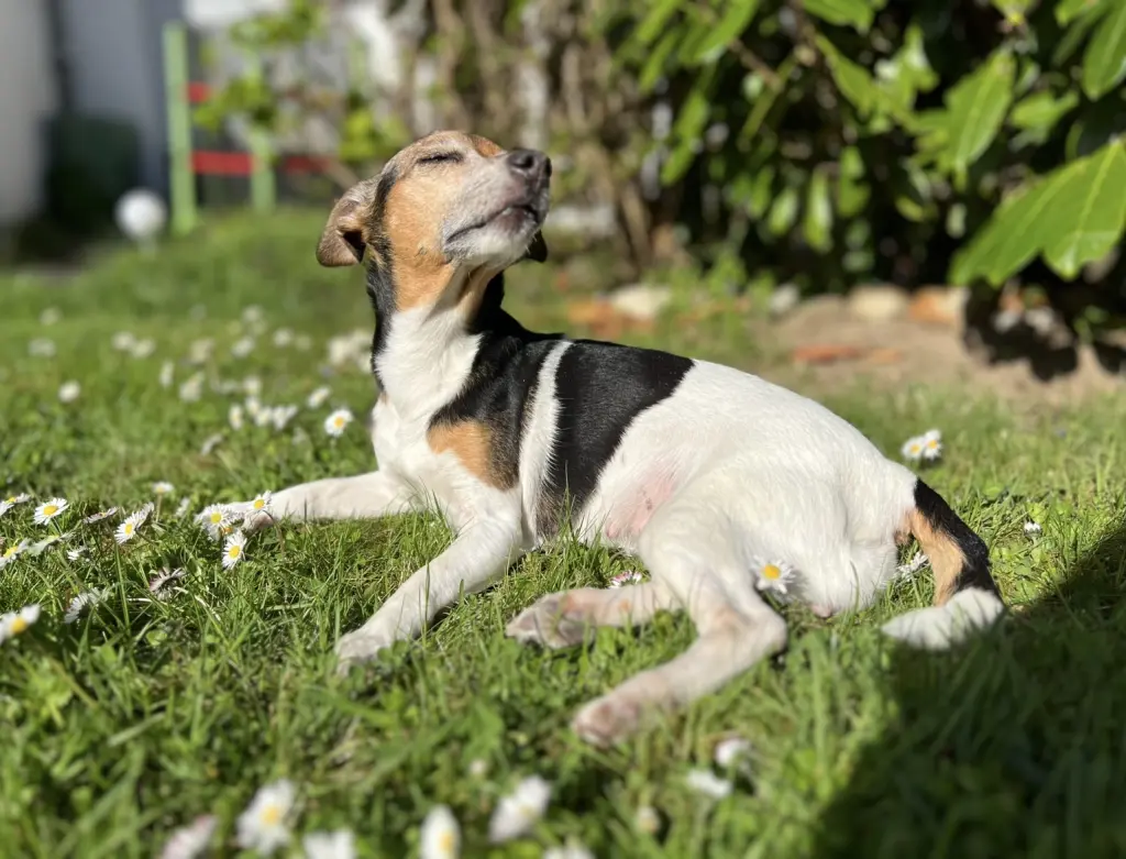 Andachtsbild von Diana Will