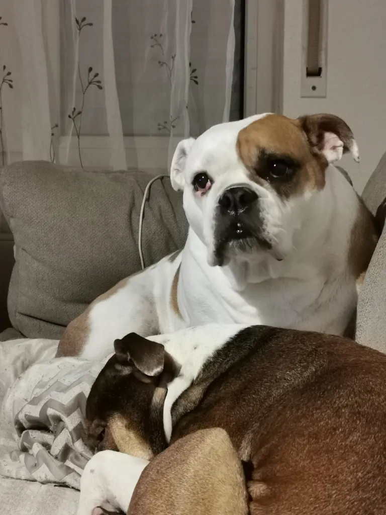 Andachtsbild von Sabrina Zimmermann