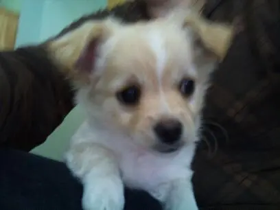 Neun Wochen das erste Mal gesehen