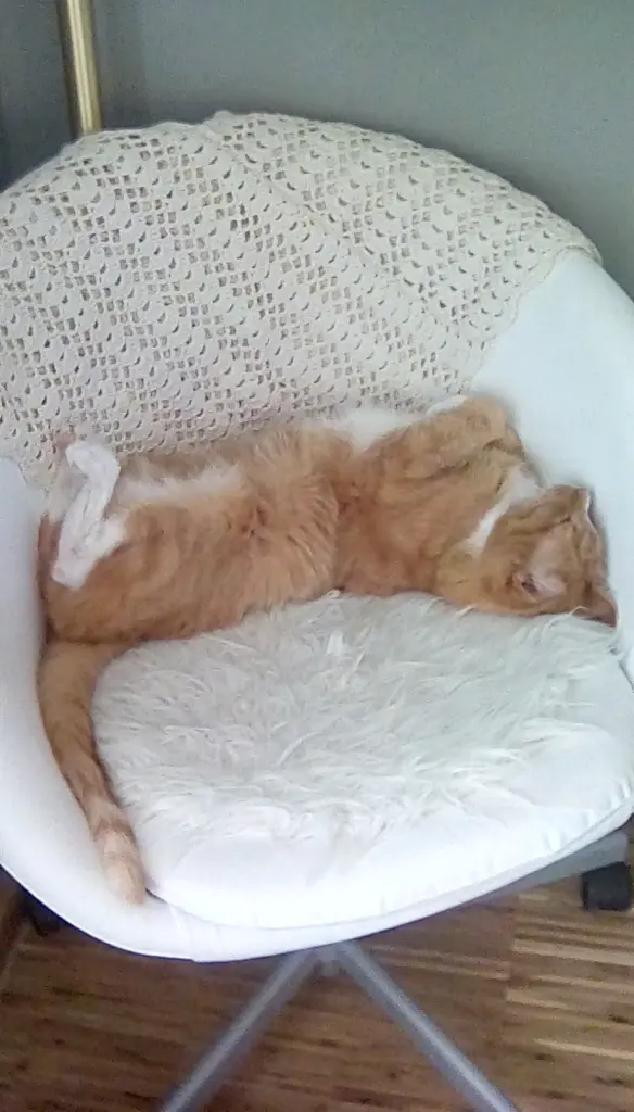 Andachtsbild von Beate mit Elvis im Herzen ❤