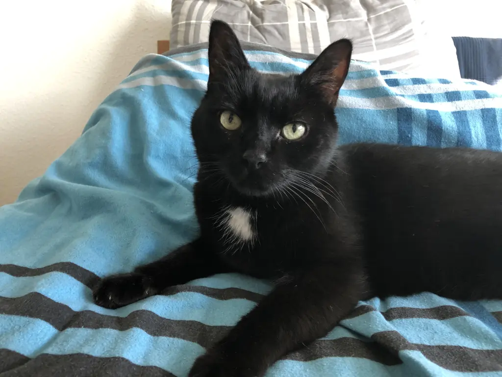 Andachtsbild von Oliver Kirchhoff