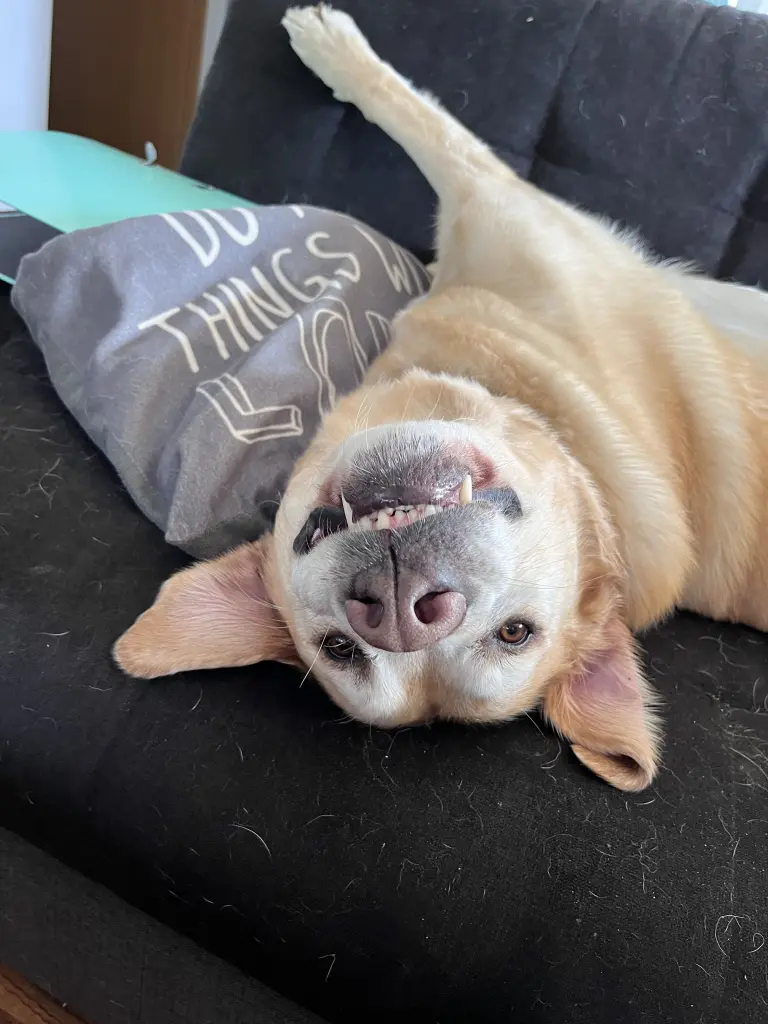 Dein Lächeln fehlt so sehr