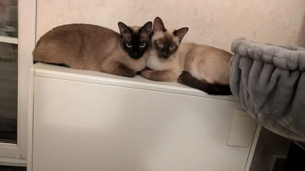 Andachtsbild von Karin Ullrich