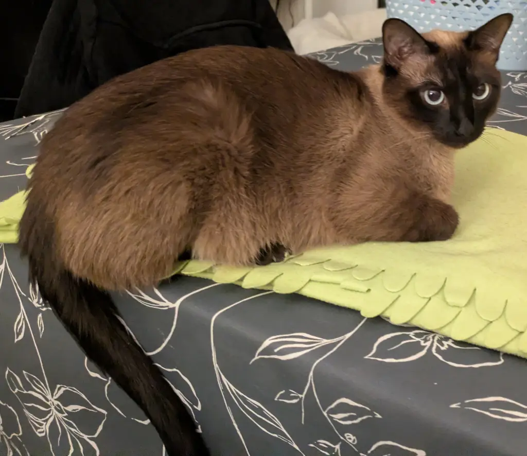 ca. 8 Stunden vor seinem Ende