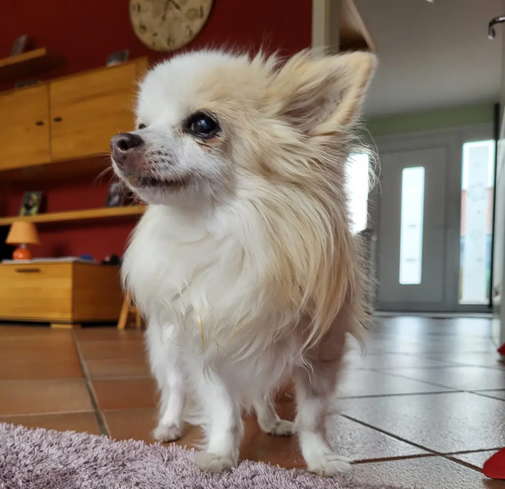 Andachtsbild von Jaqueline Tiemann