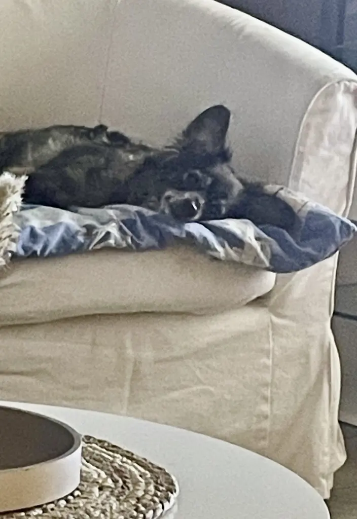 Andachtsbild von Nicole