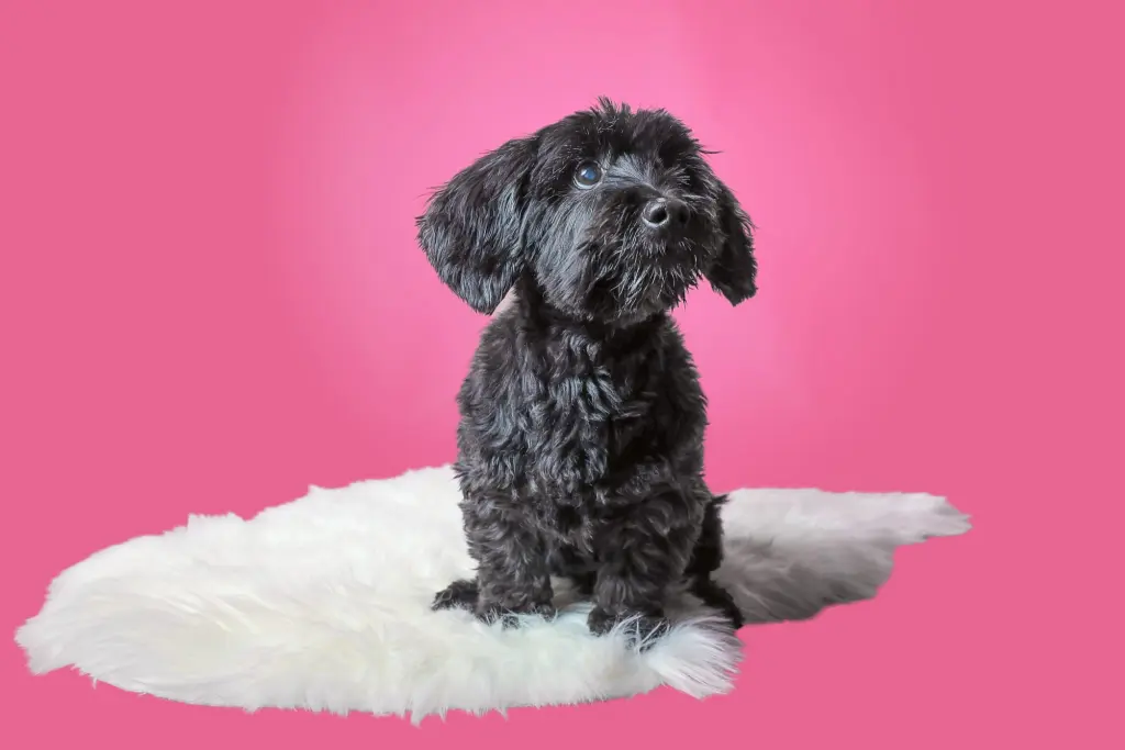 Andachtsbild von Kerstin Hagemann