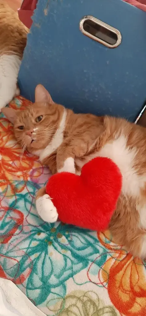 Andachtsbild von Britta Kreutner