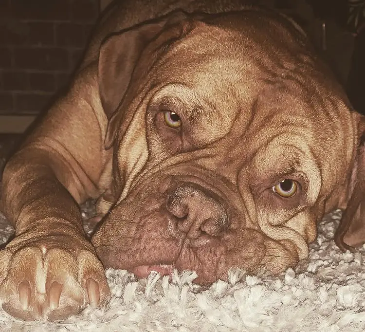 Andachtsbild von Jasmin ♥️