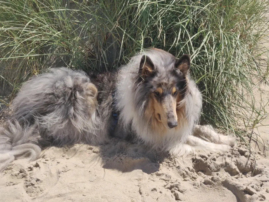 Ich fühle mich wohl