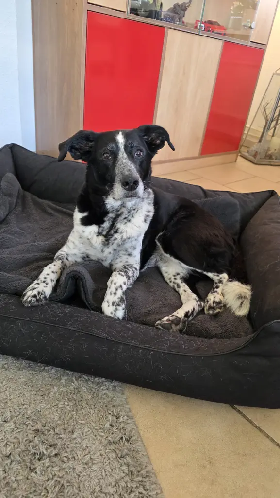 Andachtsbild von Melanie Kniep