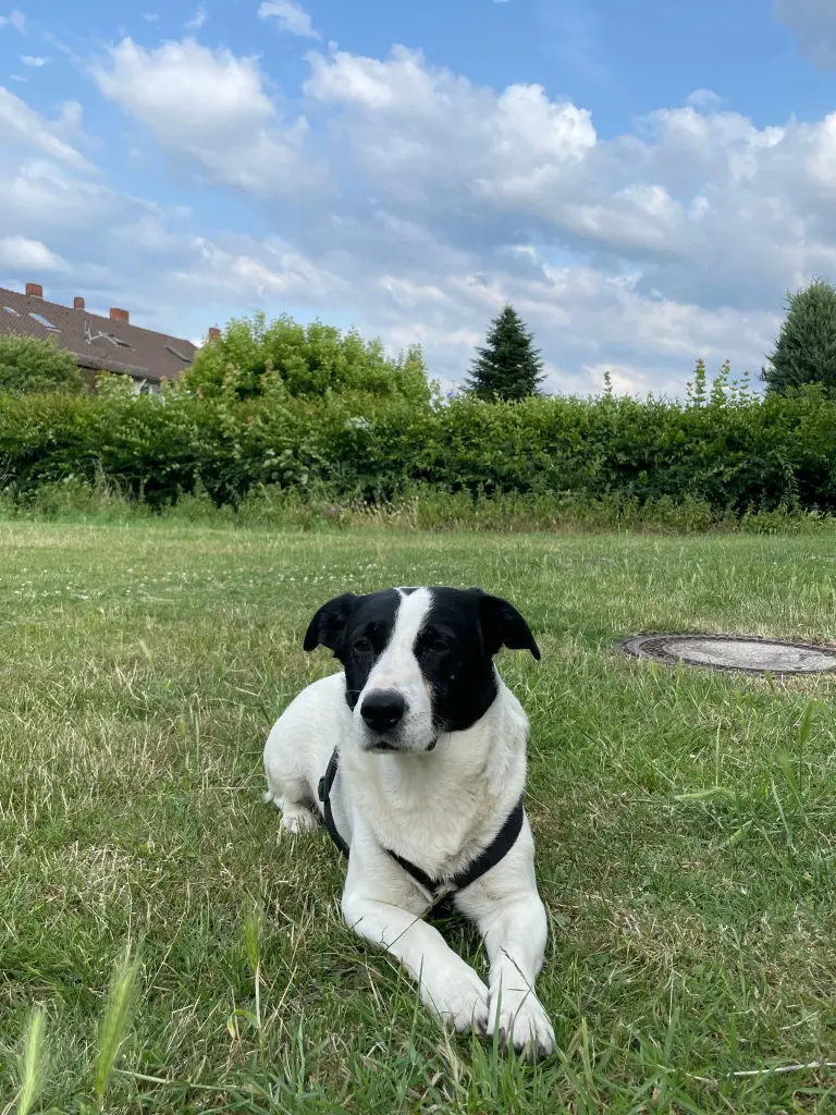 Andachtsbild von Victoria Heuer