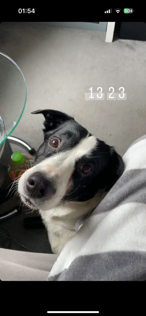 Andachtsbild von Justina Heuer