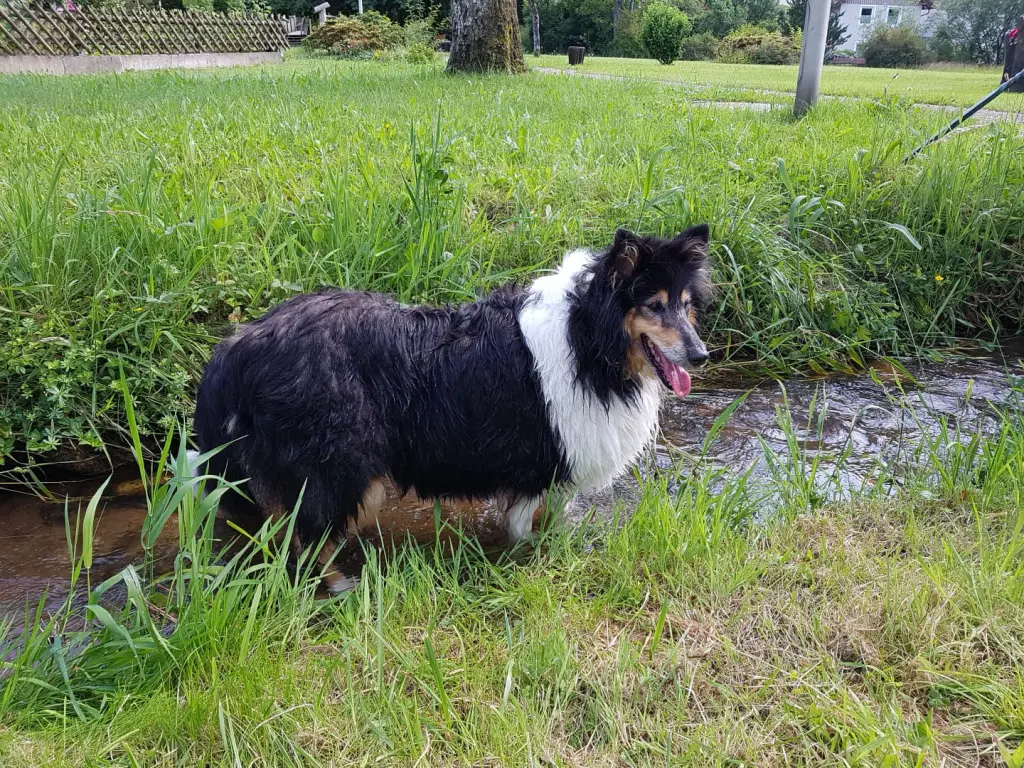 Andachtsbild von Klaudia Balzer