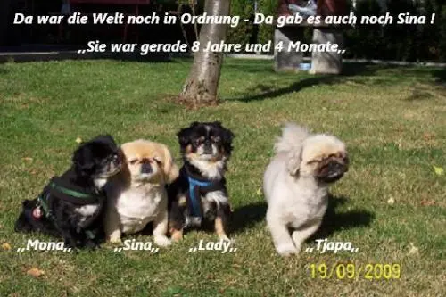 Image from geliebte und treue Sina !