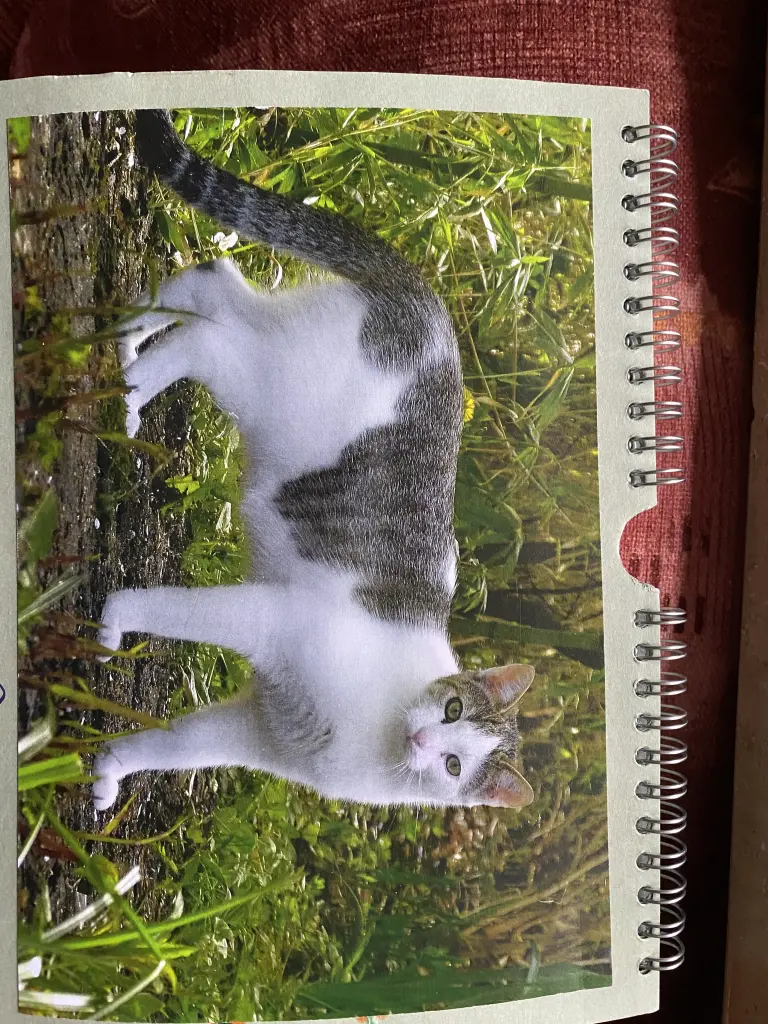 Condolence image of Kathrin Bluhmki