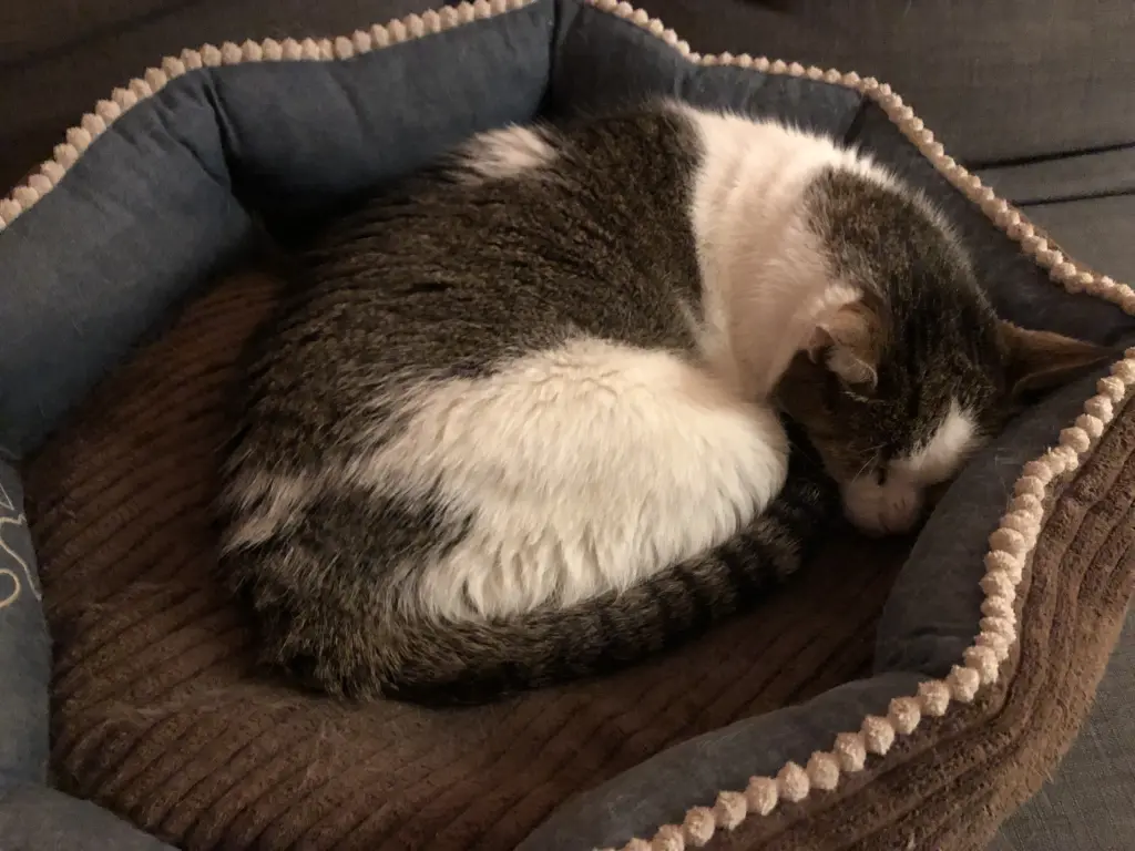 Condolence image of Hiltrud Bluhmki