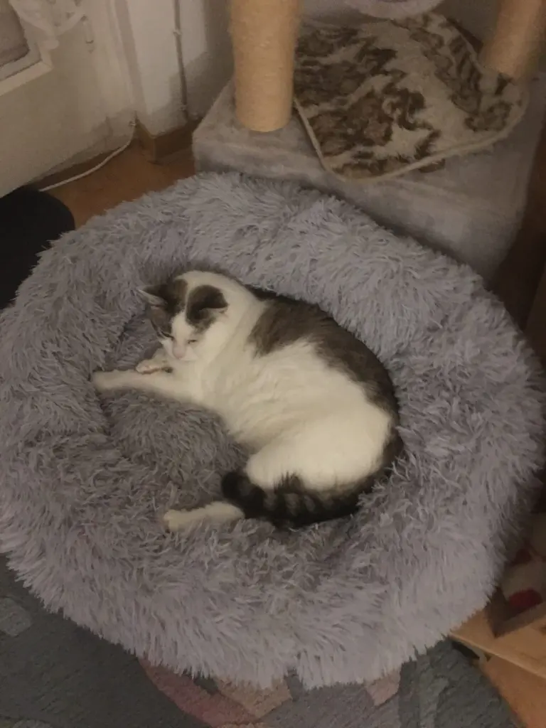 Andachtsbild von Conny H.