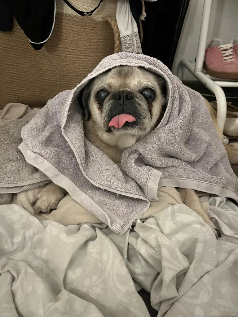 Bild von Miss Marple