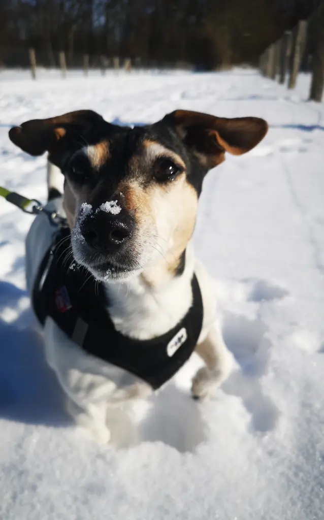 Andachtsbild von Stephanie Fellmann