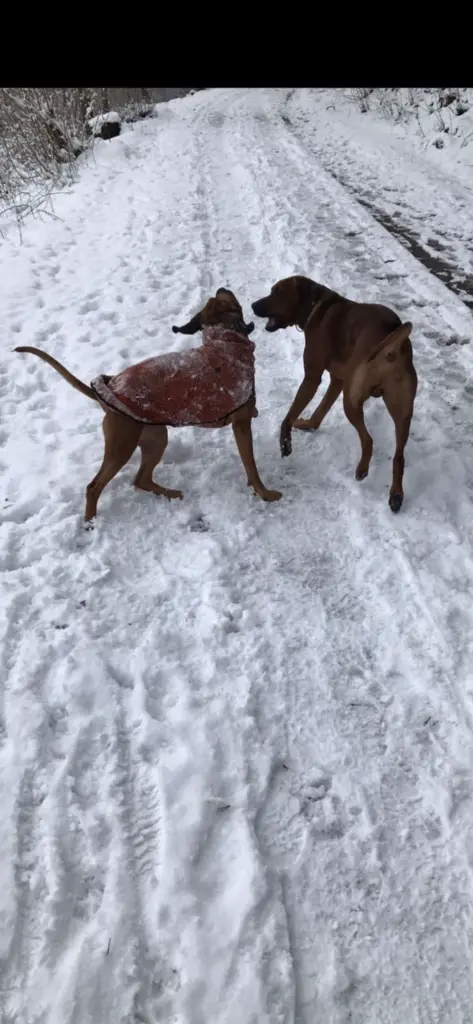 Andachtsbild von Calle Dein Freund