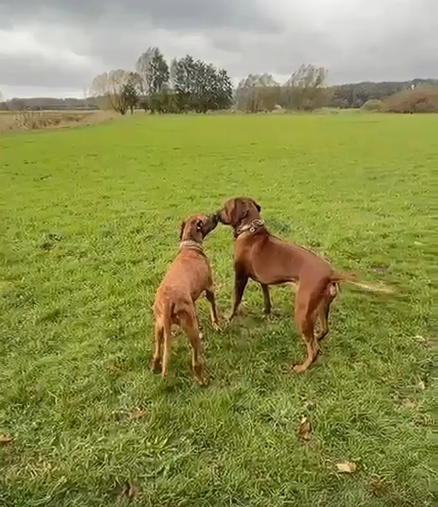 Andachtsbild von Ina und Dirk Derhof