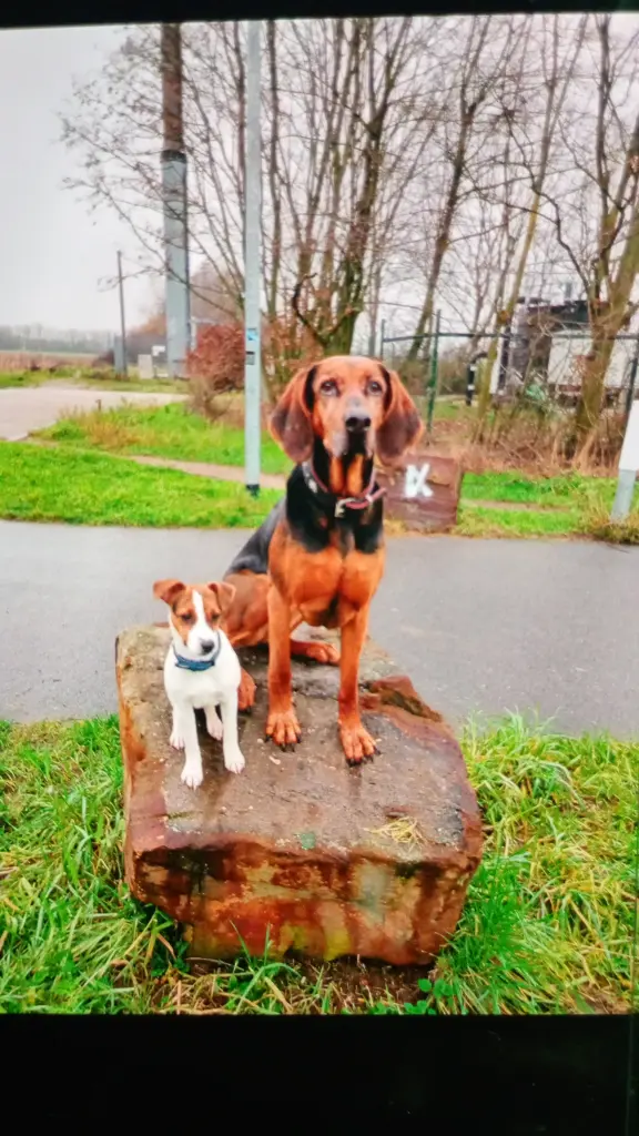 Andachtsbild von Nicole Münster