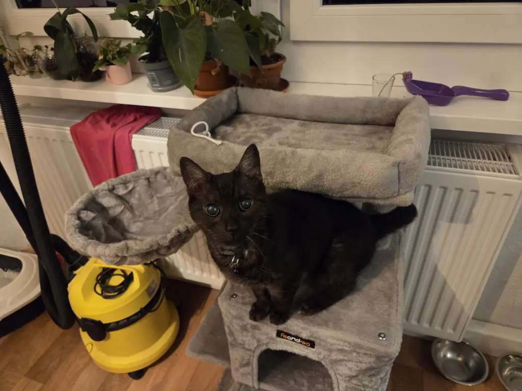 Andachtsbild von Mandy Köhler