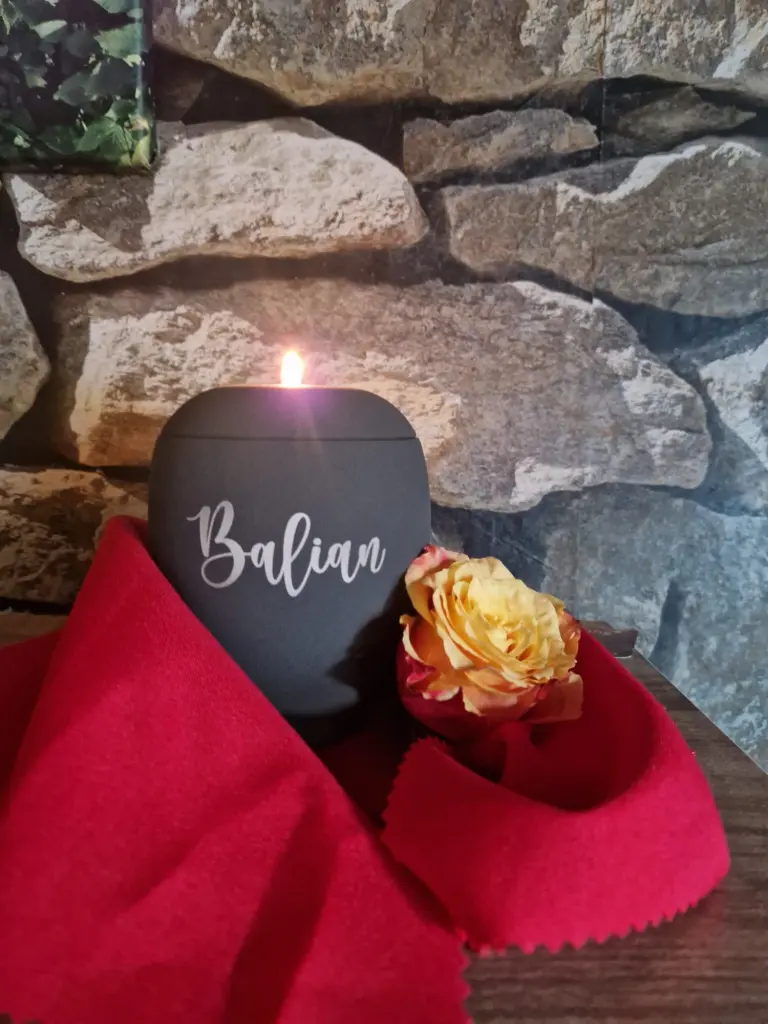 Bild von Balian Azrael