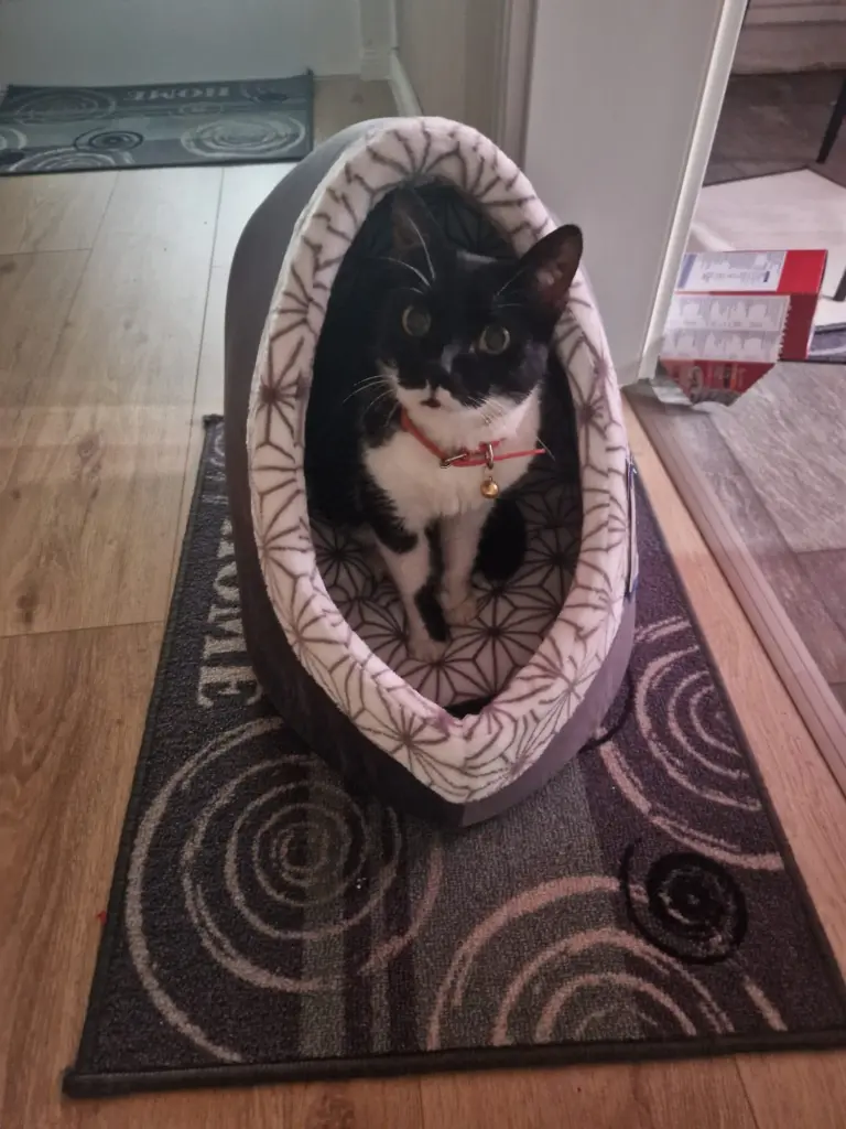 ...und immer meinen "Glöckchen"