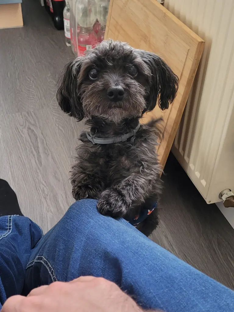 Andachtsbild von Toni Andreas