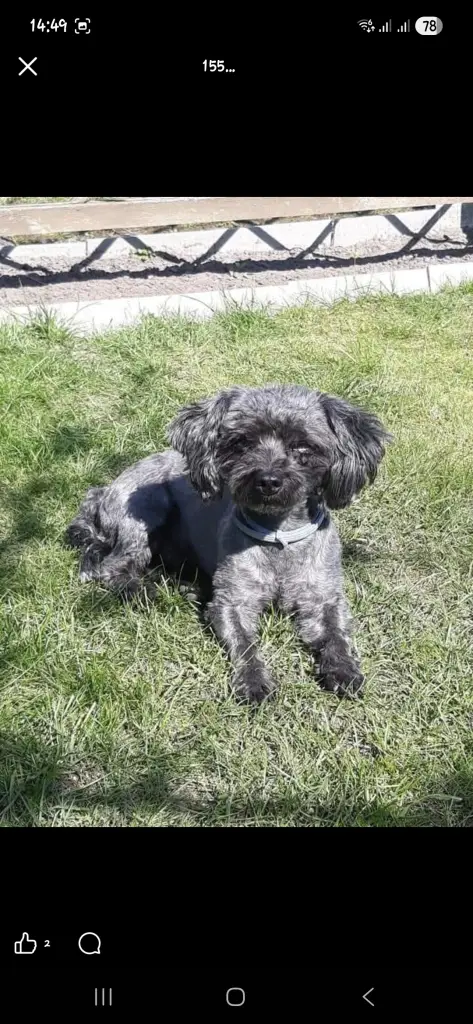 Andachtsbild von Anna Steve + Kids