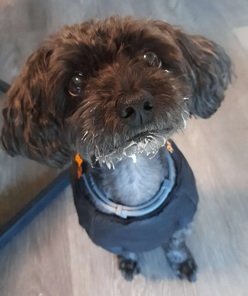 Meine kleine Joghurtgusche