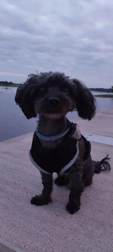 An der Elbe war es auch immer schön