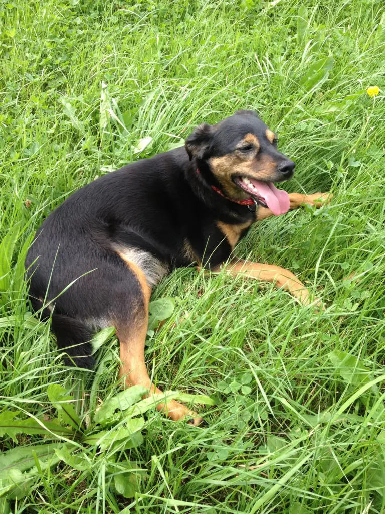 Andachtsbild von Frauke mit Baby Lennox 😿 und Süß Bär 🐻