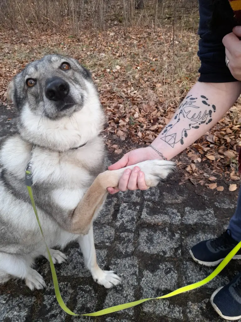 Andachtsbild von Laura Koenig