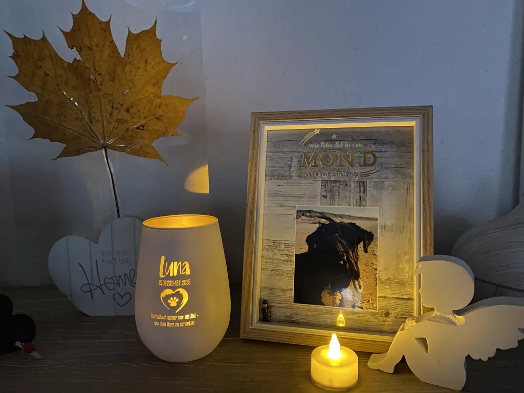 Bis zum 🌙 und zurück 🫶