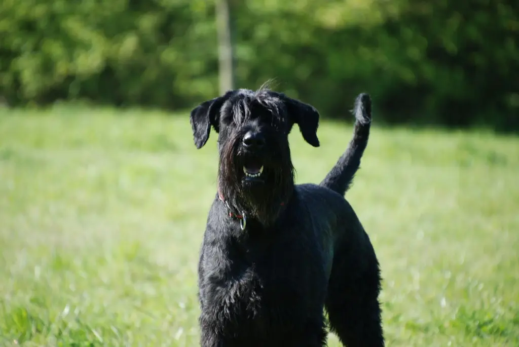 Du warst einzigartig 💝